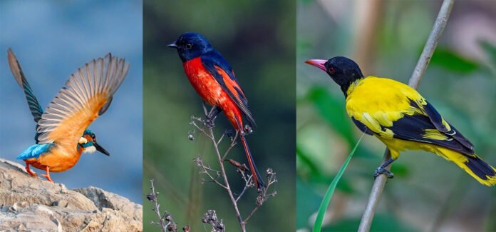 1705539915_chara-1200x560