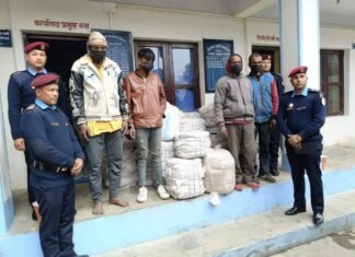 ट्याङकरको प्रयोग गरेर गाँजा ओसार पसार गर्ने ४ जना पक्राउ