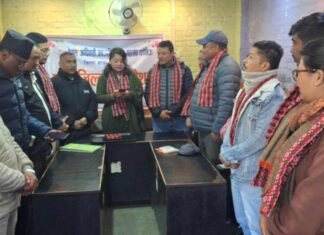 फोनिज भक्तपुर अध्यक्षमा कोजु