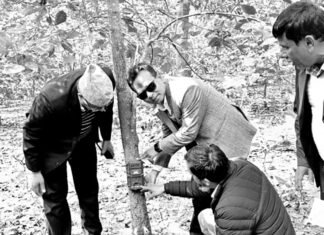 बाँकेमा बाघ र आहारा प्रजातिको अनुगमन सुरु, ९५ स्थानमा क्यामरा जडान