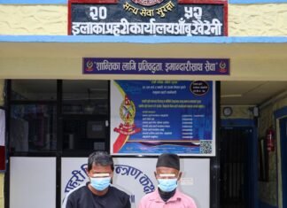 तनहुँबाट तीन भरुवा बन्दुकसहित दुई पक्राउ