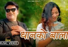 डीपीको शब्द, बादलको संगीतमा ‘धानको बाला’ ( भिडियो )