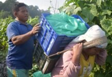 विदेशमा कमाएको भन्दा आफ्नै देशमा मिहिनेत गर्दा सन्तुष्टि : गाहा मगर