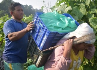 विदेशमा कमाएको भन्दा आफ्नै देशमा मिहिनेत गर्दा सन्तुष्टि : गाहा मगर