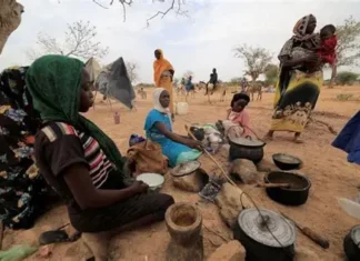 सुडानमा दुई करोड भन्दा बढी मानिस गम्भीर खाद्य असुरक्षाको सामना गर्दै