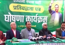 दलका घोषणापत्रमा सेयरदेखि रोजगारीसम्मका बाचा