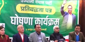 दलका घोषणापत्रमा सेयरदेखि रोजगारीसम्मका बाचा