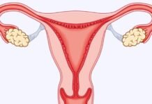 वीर अस्पतालमा आजदेखि महिलालाई निःशुल्क क्यान्सर परीक्षण