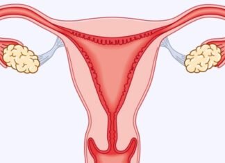 वीर अस्पतालमा आजदेखि महिलालाई निःशुल्क क्यान्सर परीक्षण