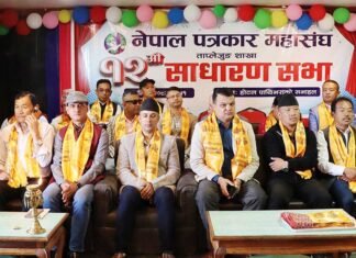 सरकारी विज्ञापनसम्बन्धी निर्णय फिर्ता गर्न पत्रकारको माग